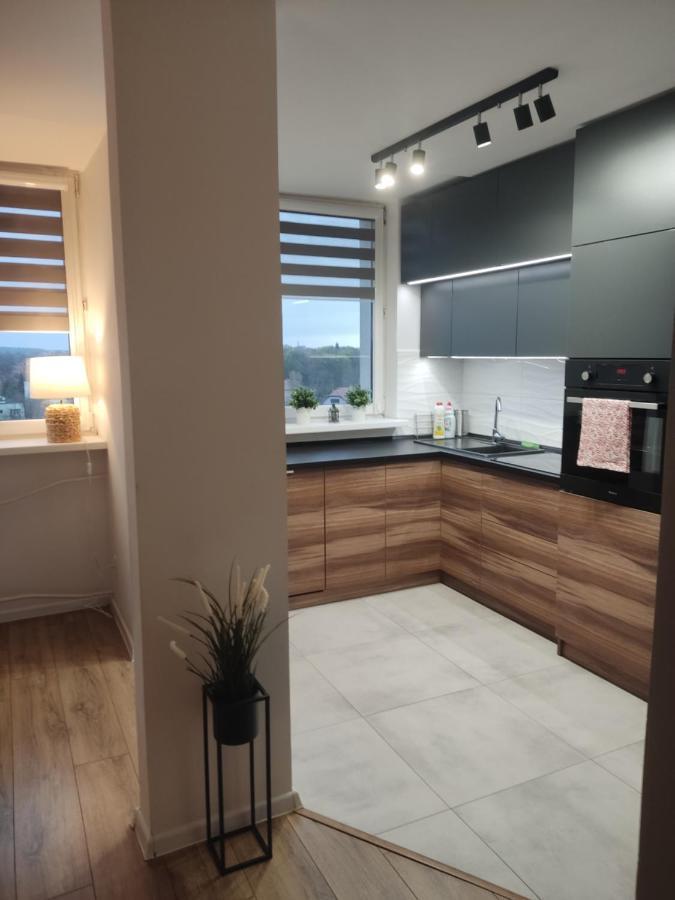 Apartament Z Widokiem Na Miasto Gliwice Exterior foto